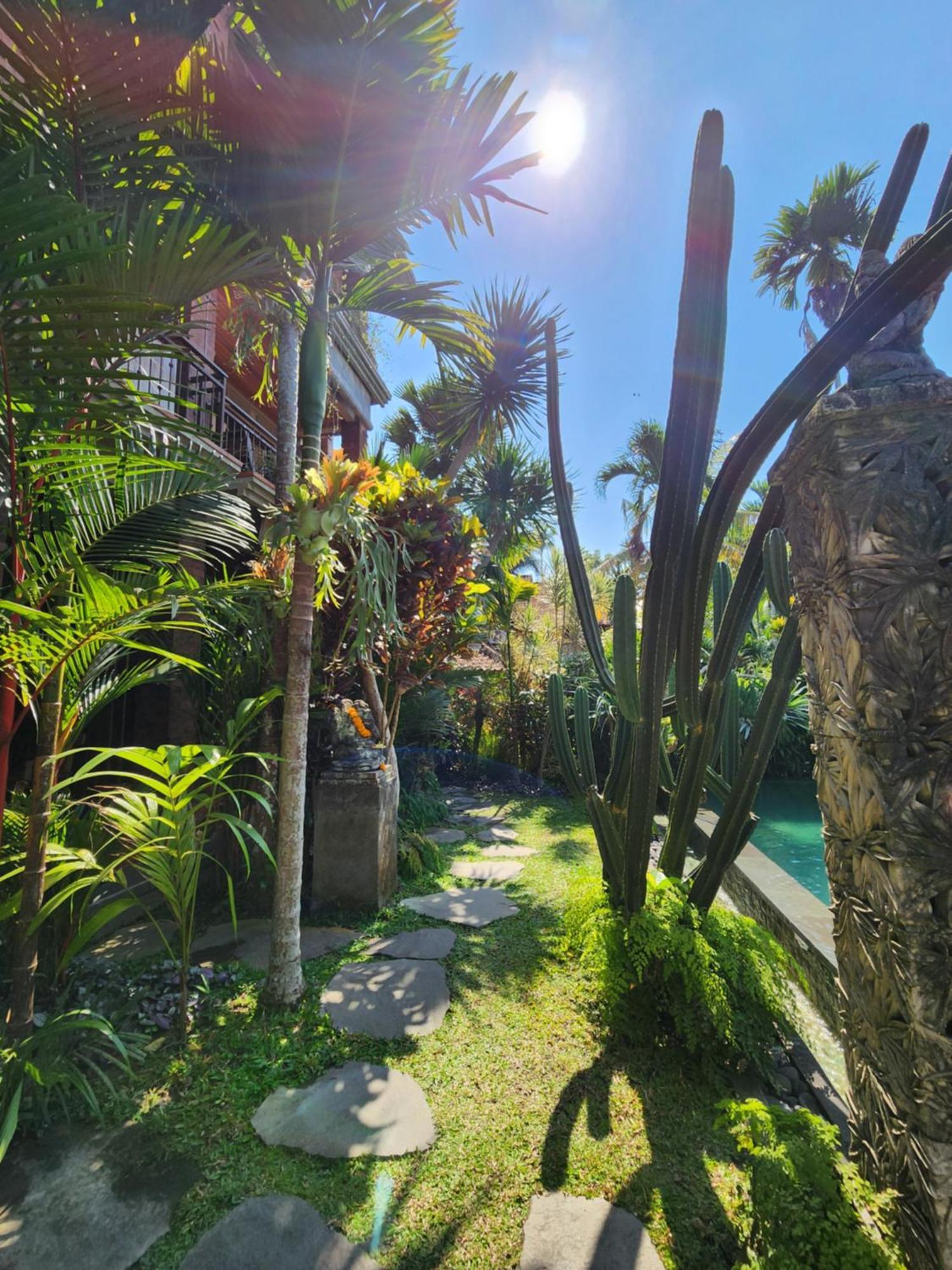 Buda Amitaba Ubud Eksteriør bilde