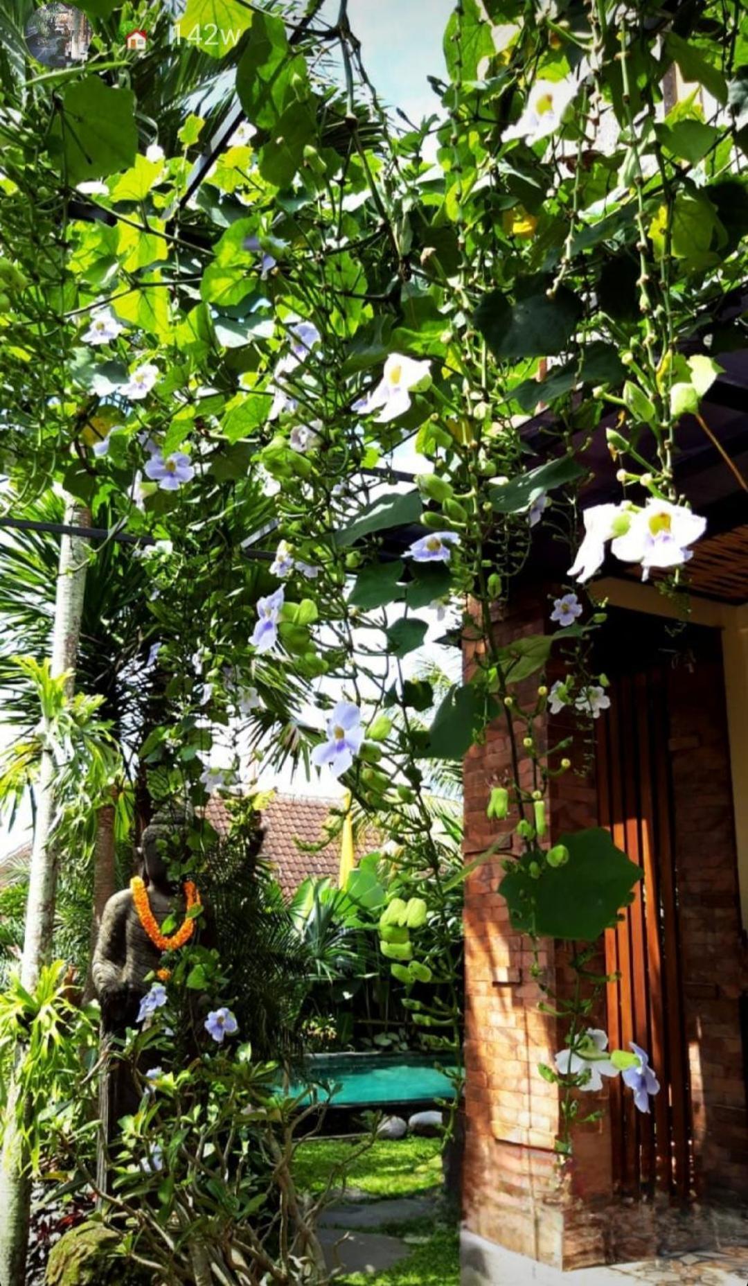 Buda Amitaba Ubud Eksteriør bilde